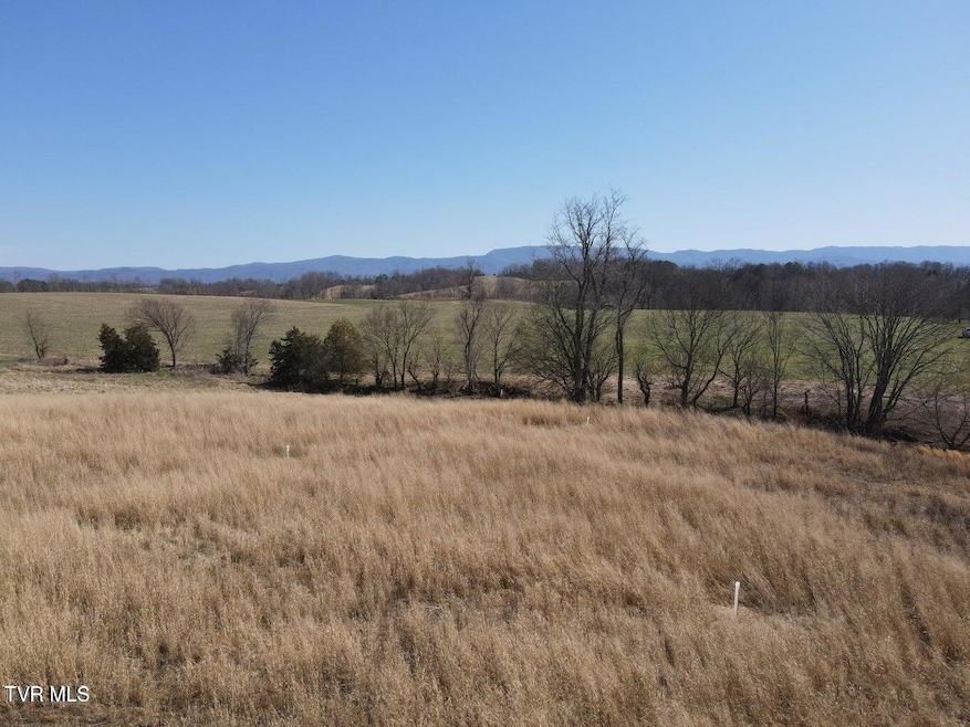 Tbd River Village Ln, Afton, TN 37616 - photo 1