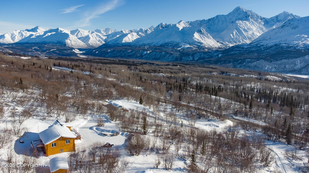 45161 W Glenn Hwy, Chickaloon, AK 99674 - photo 1