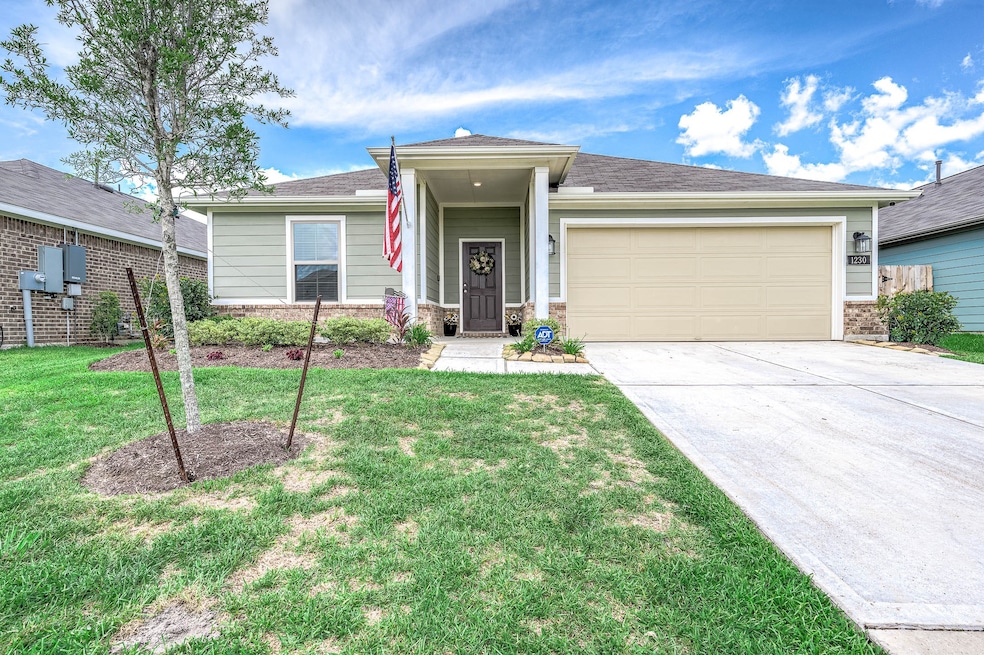 1230 Colt Canyon Dr, Alvin, TX 77511 - photo 1