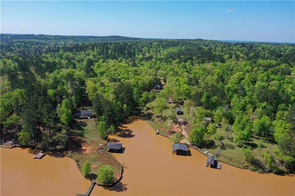 Drone / aerial view with a view of trees and a wat