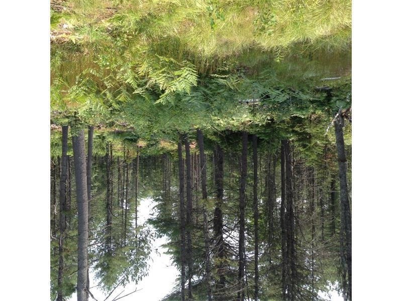 0 Empire, Poland, ME 04274 - photo 1