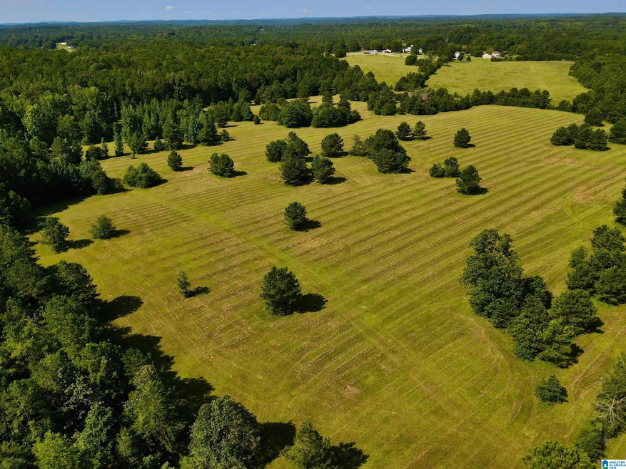 0 Highway 145 unit 1 21425973, Shelby, AL 35143 - photo 1