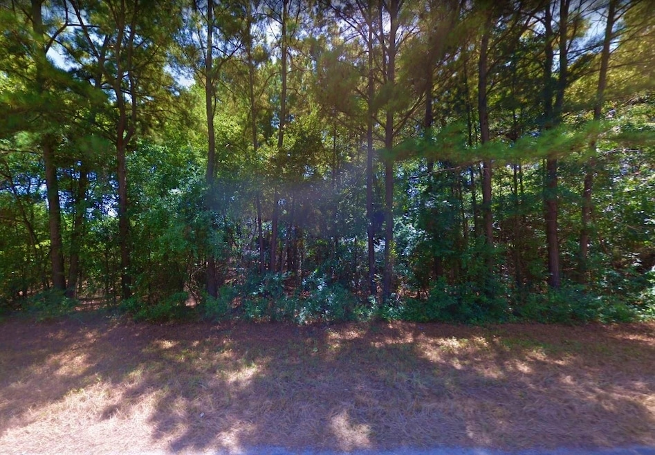 22647 Lakeway Harbor Dr, Flint, TX 75762 - photo 1