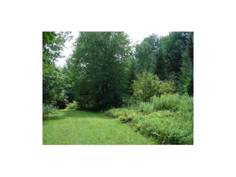 Great summer photo showing wooded area!
