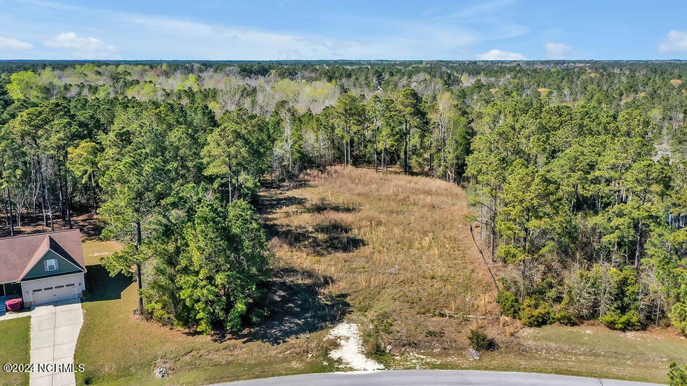 108 Calcos Ct, Stump Sound, NC 28445 - photo 1