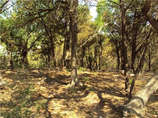 Land : Gorgeous Wooded Lot