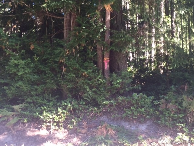 0 Crawford Rd unit 1034487, Langley, WA 98260 - photo 1