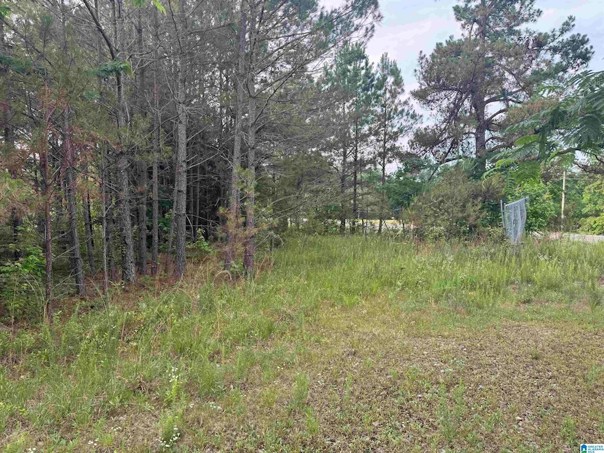 0 U S 43 unit 21410973, Guin, AL 35563 - photo 1