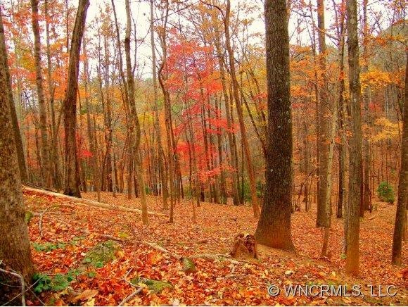 640 Whitney Blvd, Lake Lure, NC 28746 - photo 1