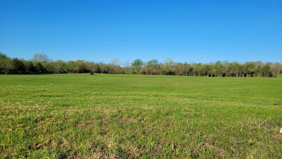 3 Old Nashville Dirt Rd, Shelbyville, TN 37160 - photo 1