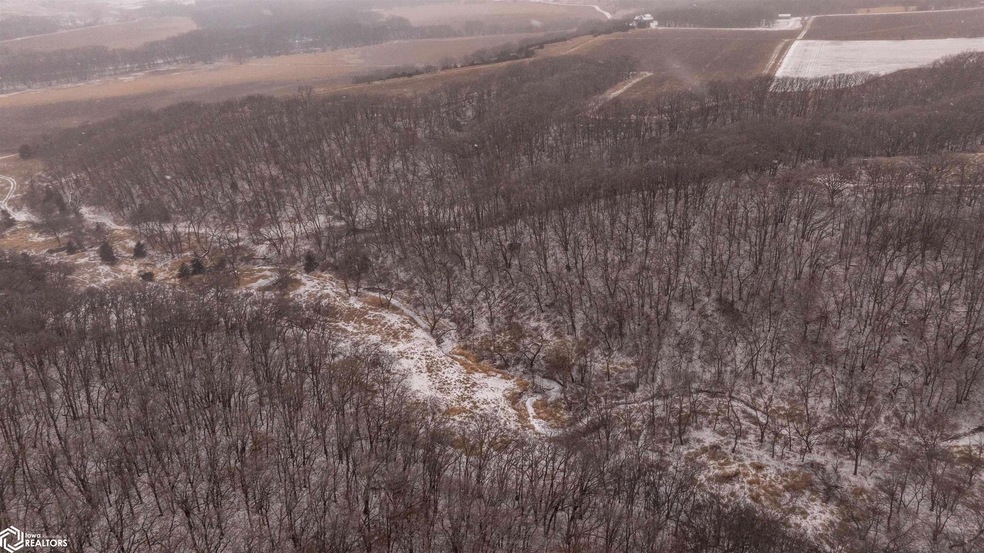 0 500th St, Sioux Rapids, IA 50585 - photo 1