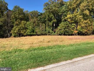 4011 Cloverland Dr, Phoenix, MD 21131 - photo 1