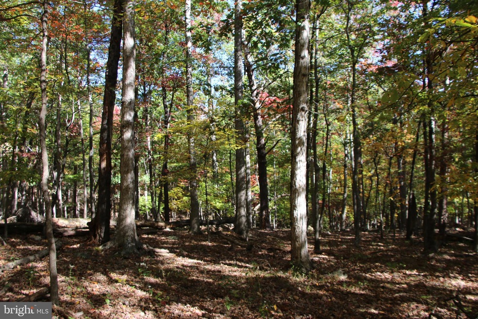 0 Back Rd unit VASH2007088, Toms Brook, VA 22660 - photo 1