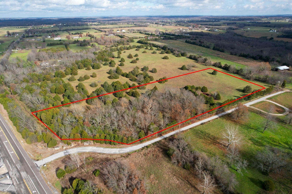 Track 3 E Farm Road 60, Franklin No. 2 Township, MO 65803 - photo 1