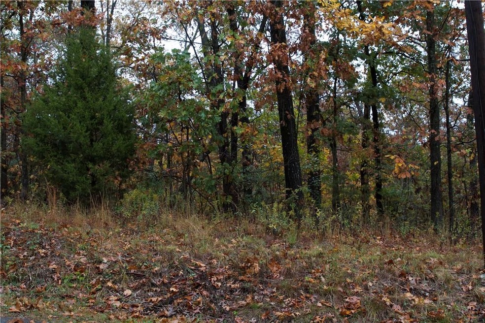 45 Hollowway Dr, Bella Vista, AR 72715 - photo 1