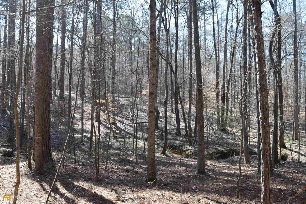 0 Rice Dr unit 8947174, Auburn, GA 30011 - photo 1