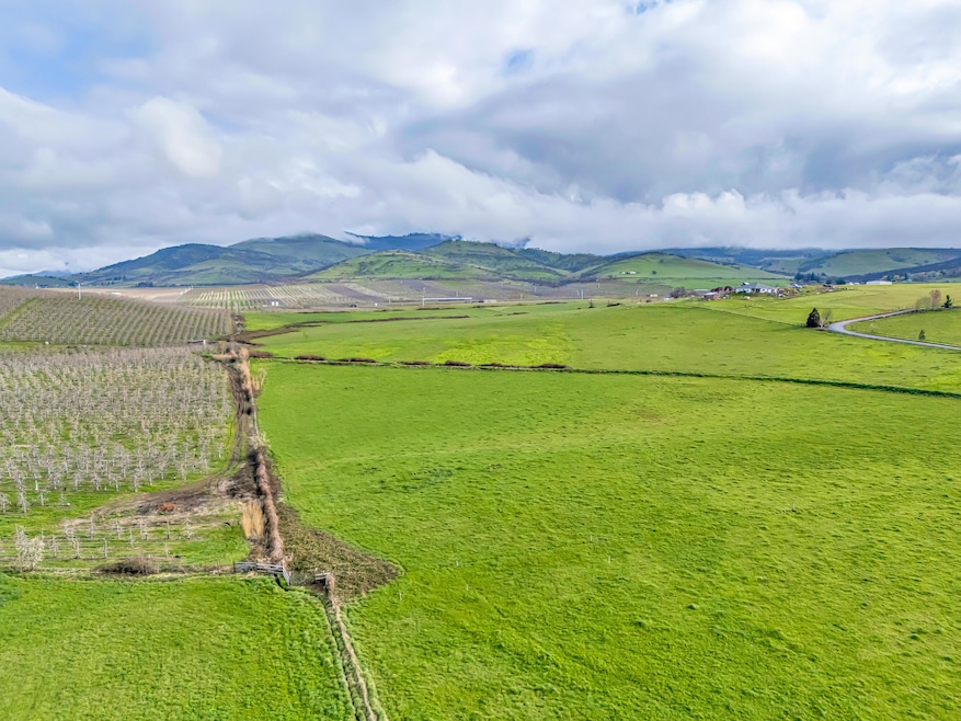 DJI_20250403091937_0019_D