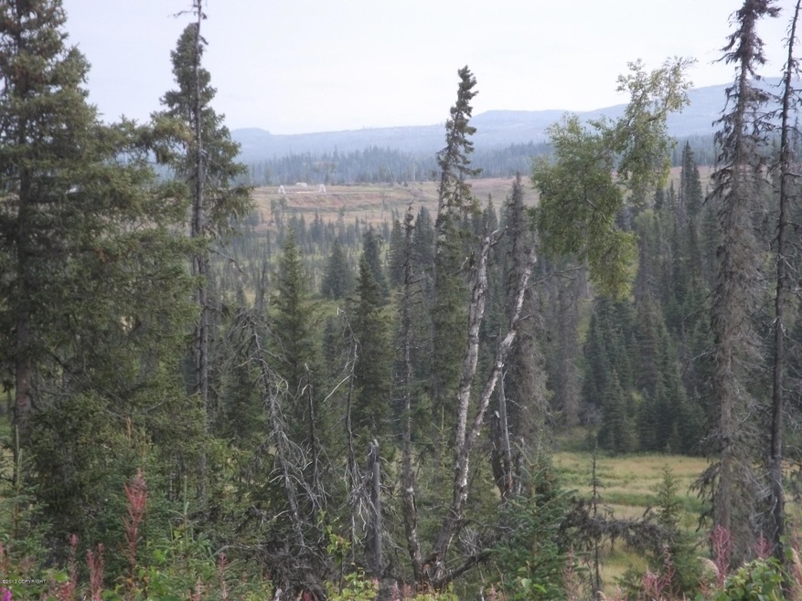 Looking up the Valley