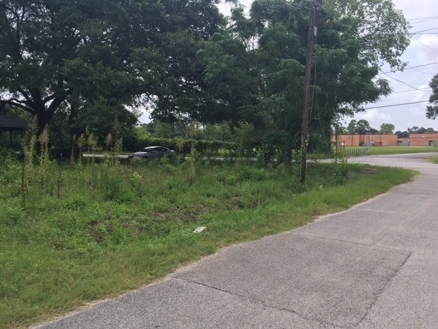 1944 Dolly Wright St, Houston, TX 77088 - photo 1