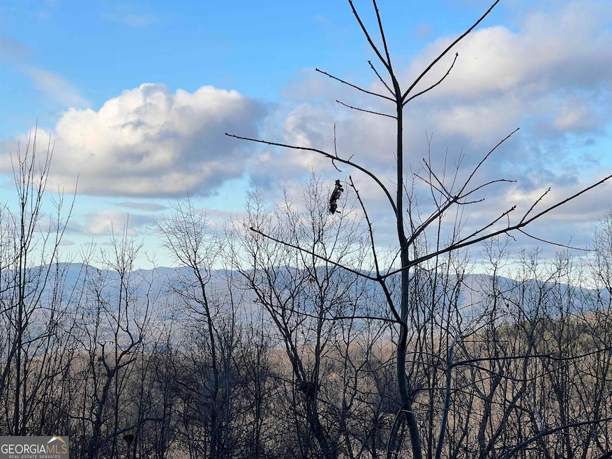 0 Daybreak Rd unit 10656893, Cleveland, GA 30528 - photo 1