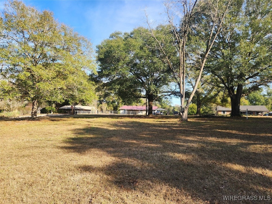 21115 Edwards Rd, Andalusia, AL 36421 - photo 1