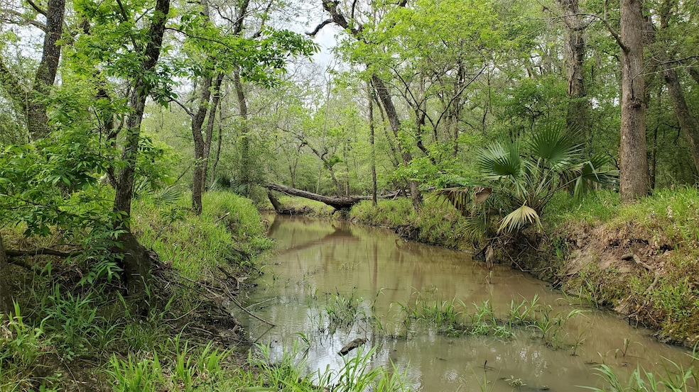 A seasonal slough also runs through the property