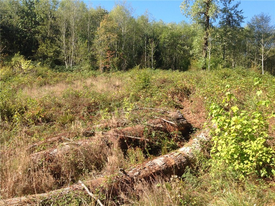 0 Logan Hill Rd unit 851426, Chehalis, WA 98532 - photo 1