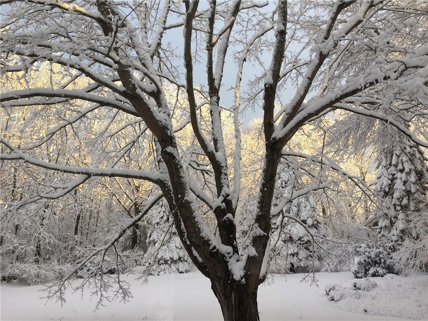 24 Watchaug Ln, Charlestown, RI 02813 - photo 1