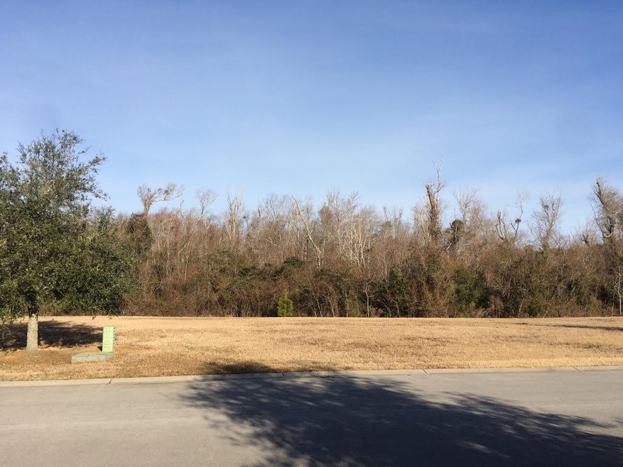220 Colleton Sq Lot View