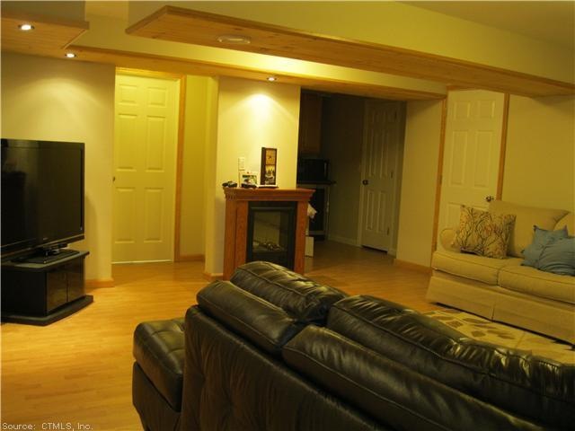 Den/Family/Great Room.