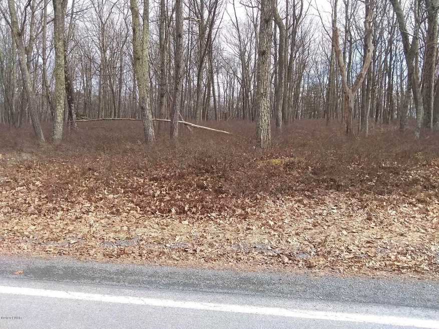 104 Surrey Dr, Blooming Grove Township, PA 18428 - photo 1