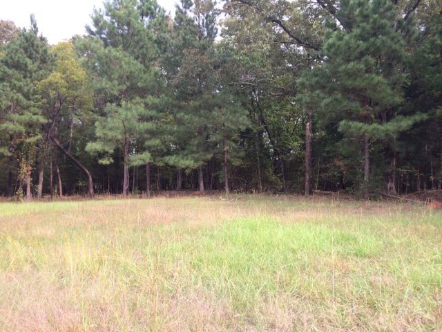 153 Fox Trail Run, Oxford, MS 38655 - photo 1