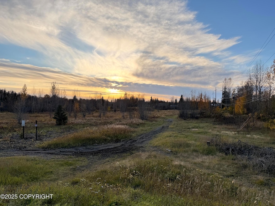 NHN Northwood Dr, Anchorage, AK 99517 - photo 1