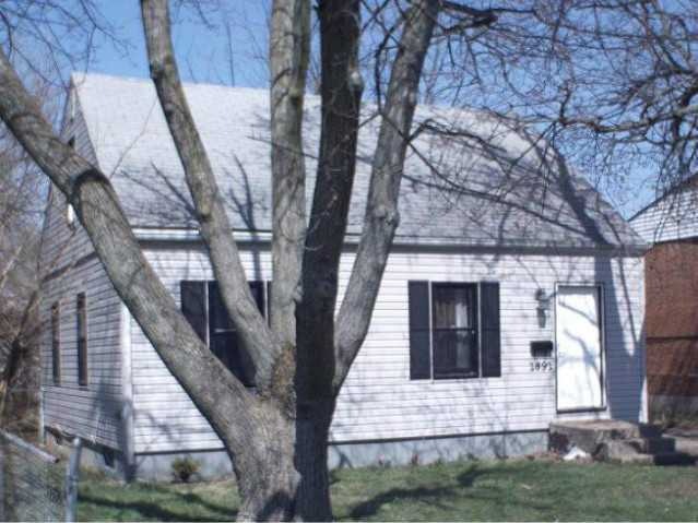 Primary Photo