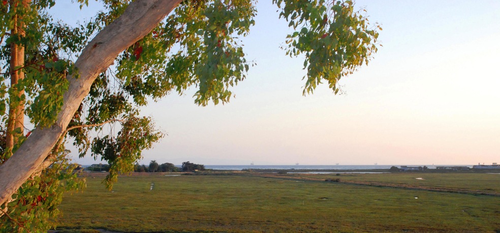 OCEAN BREEZES OVER THE NATURE PRESERVE