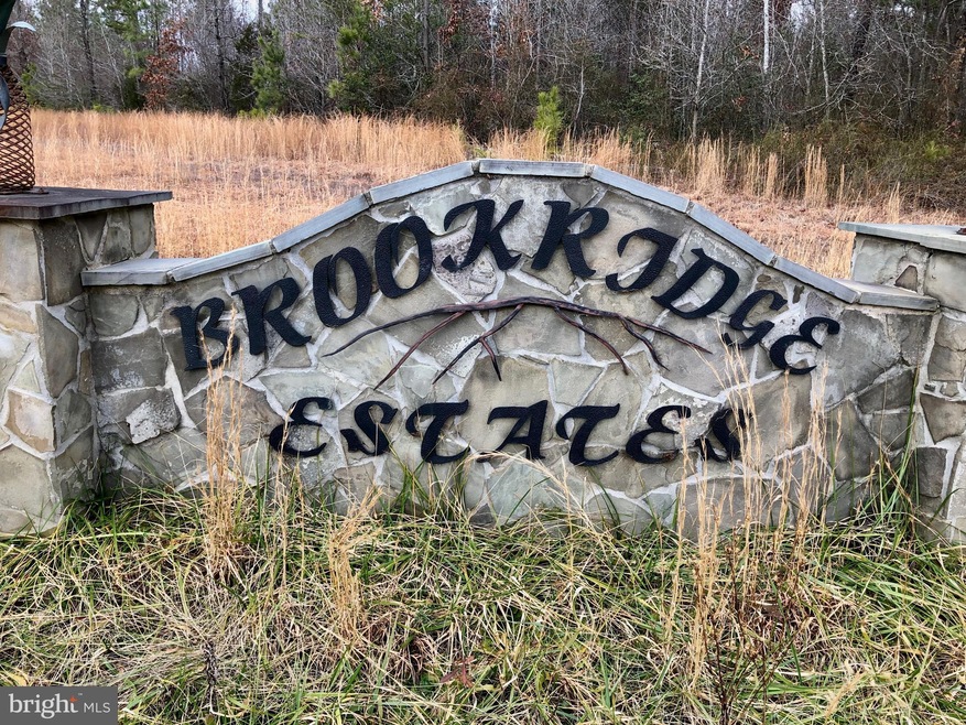 13231 Brooke Ridge Ln, Spotsylvania, VA 22551 - photo 1