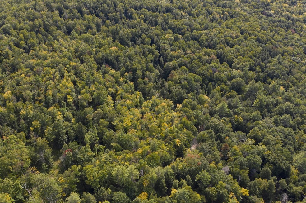 0 Parker Rd unit 202028988, Hadley, NY 12835 - photo 1