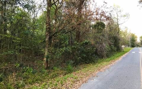 0 Rose Ln unit 97046, Fort White, FL 32038 - photo 1