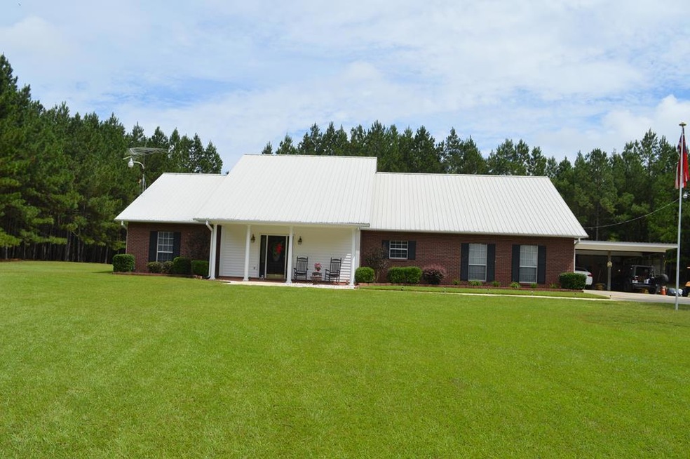 Main View