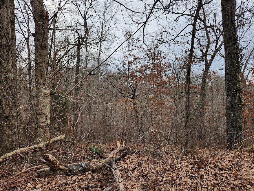 7 Cedars Ln, Bella Vista, AR 72715 - photo 1