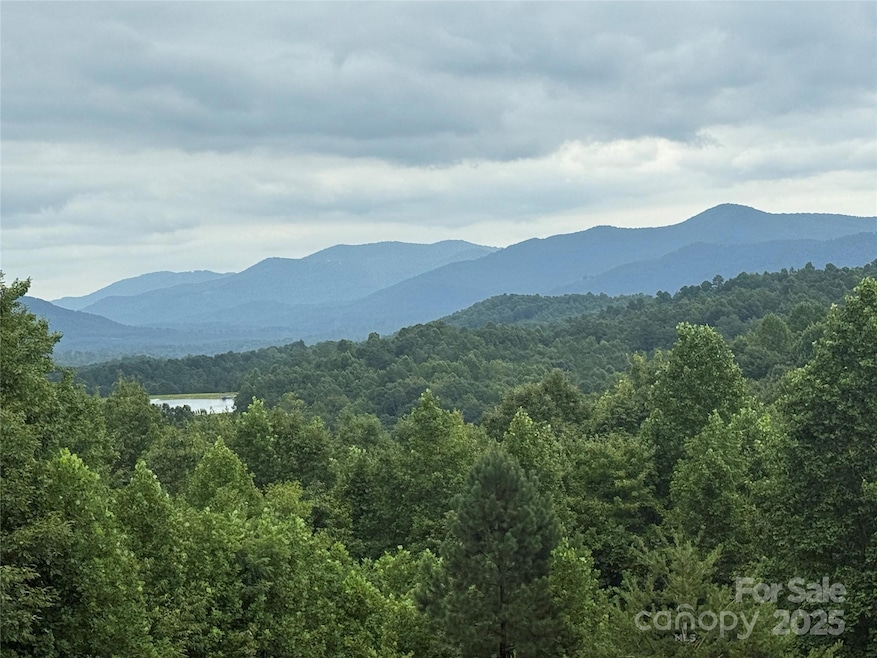 166 Coal Pit Mountain Dr unit 359, Nebo, NC 28761 - photo 1