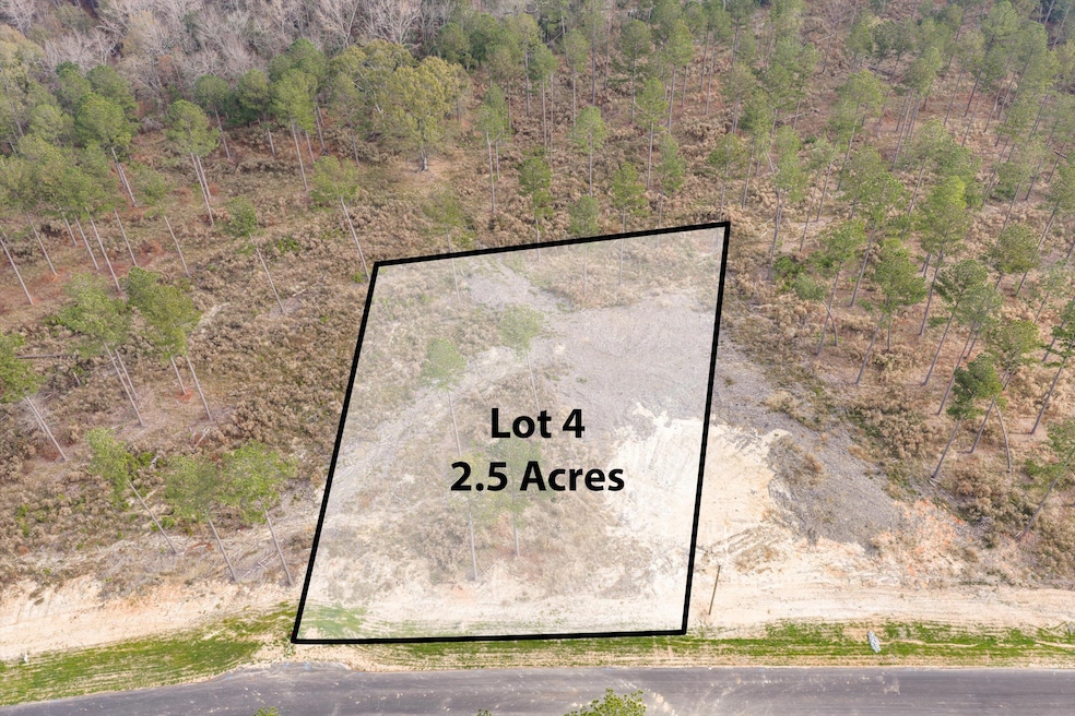 135 Beagle Chase Dr, Appling, GA 30802 - photo 1