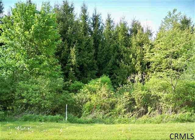 1 Staulters Farm Rd, Ballston Spa, NY 12020 - photo 1