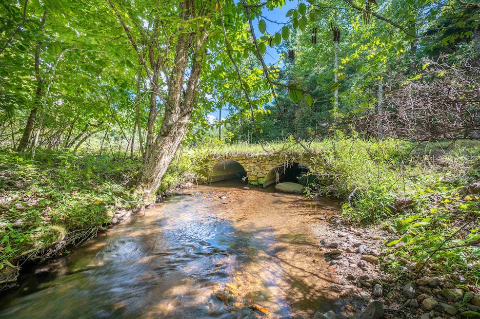 1287 Cox Store Rd SW, Floyd, VA 24091 - photo 1