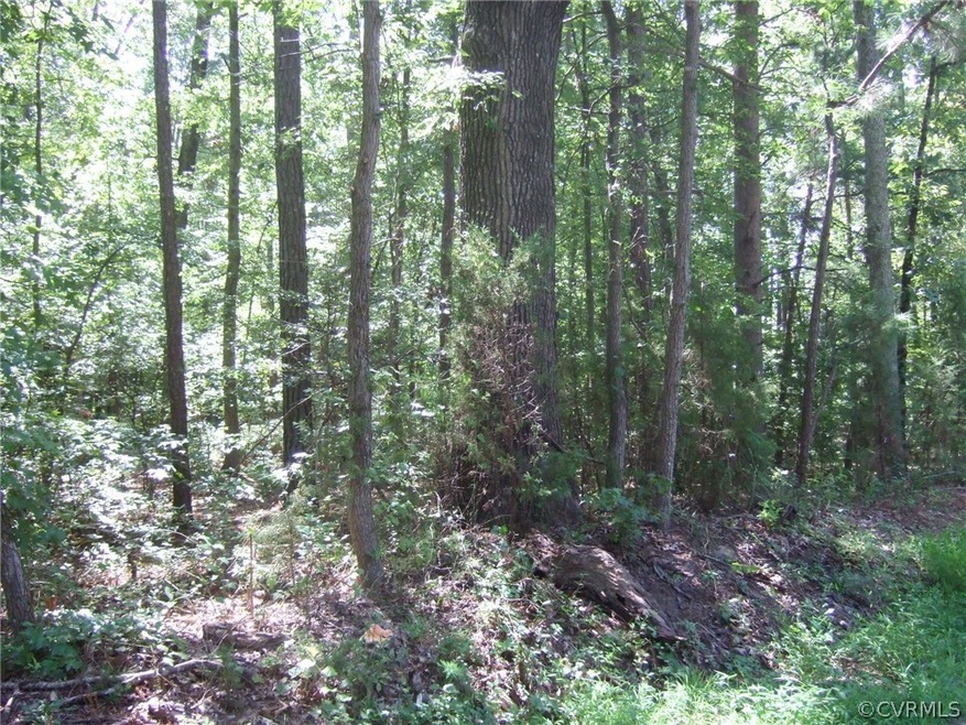 Wooded side right across from rt 1001 near sign