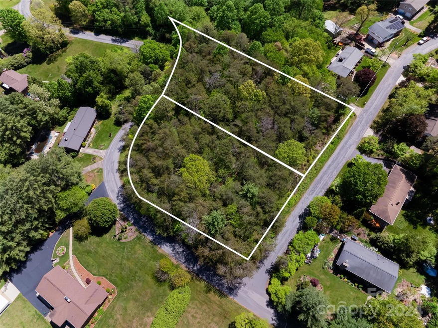 Lots #10 & 11 Holly Hill Ct, Asheville, NC 28806 - photo 1