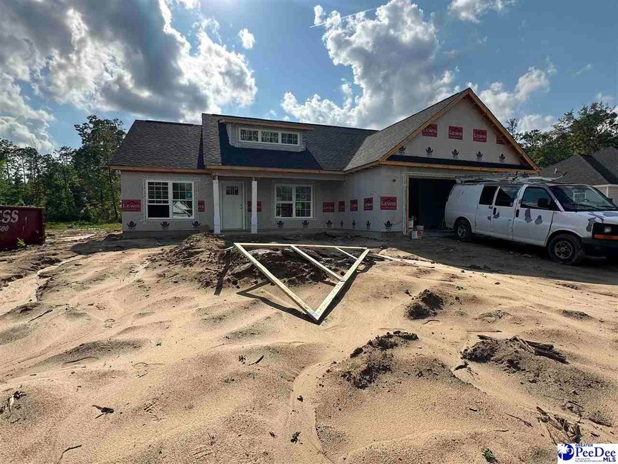 486 Cane Branch Rd, Loris, SC 29569 - photo 1