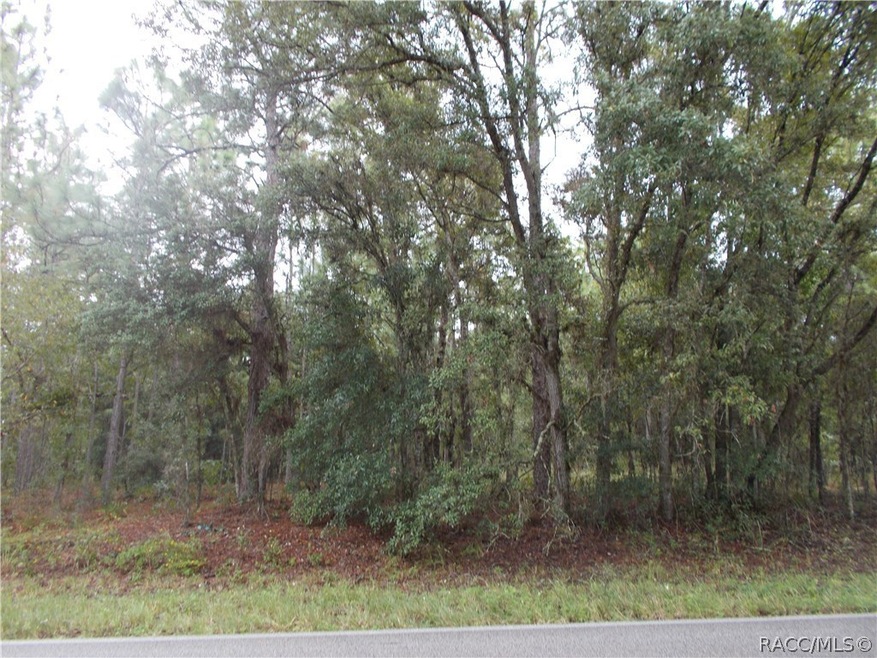 3155 N Tyrone Ave, Hernando, FL 34442 - photo 1