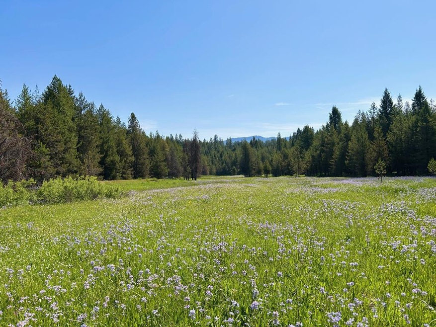 TBD Sawtooth Loop, Cascade, ID 83611 - photo 1