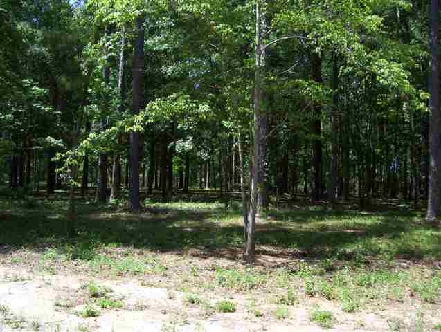 0 Oak St unit 11, Crawfordville, FL 32327 - photo 1